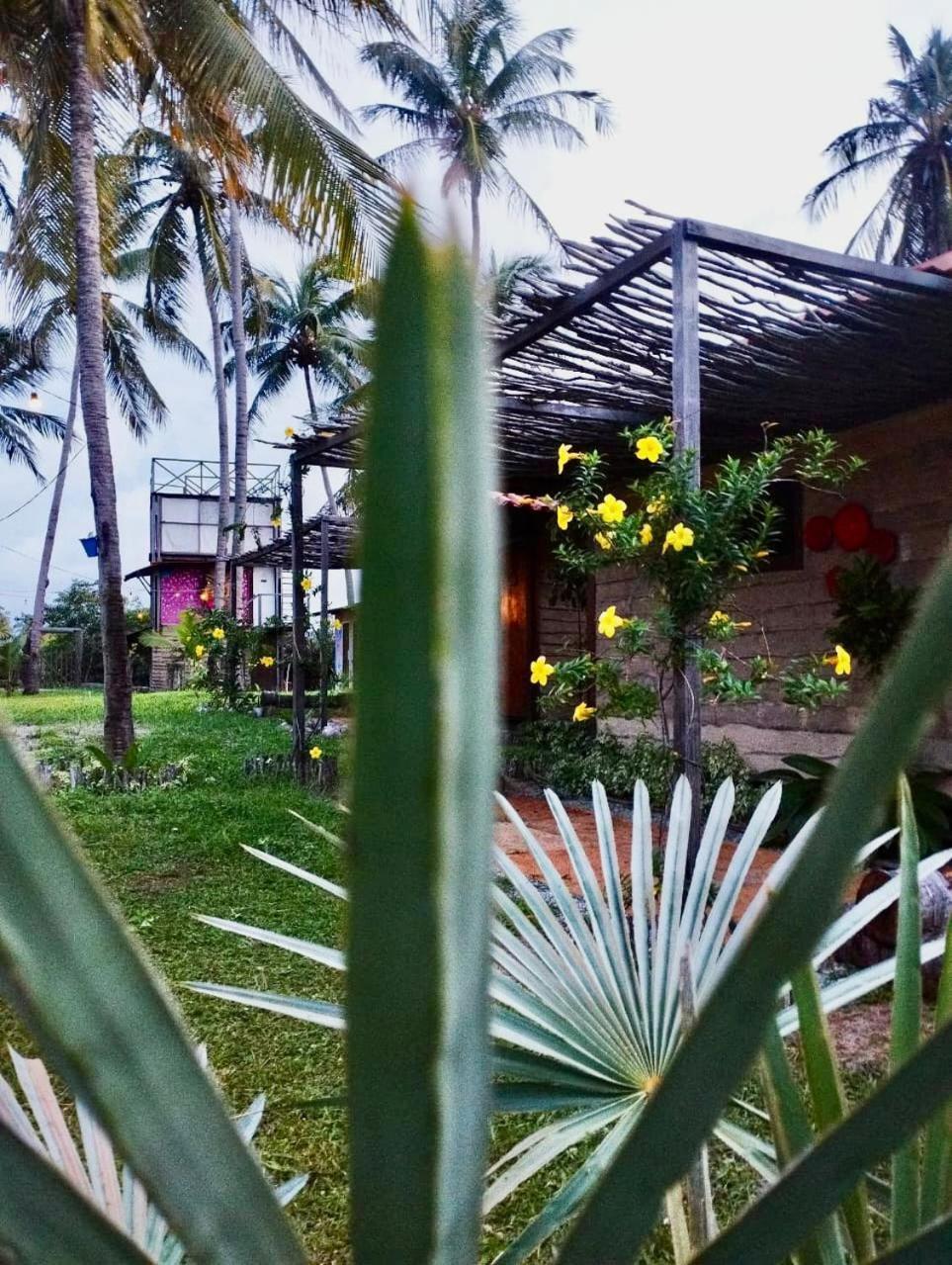 Mare De Atins Eco Lodge 外观 照片